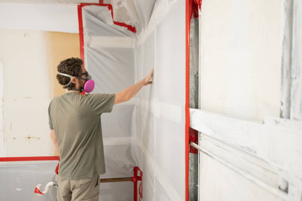 Greenville, KY Mold Removal Pros