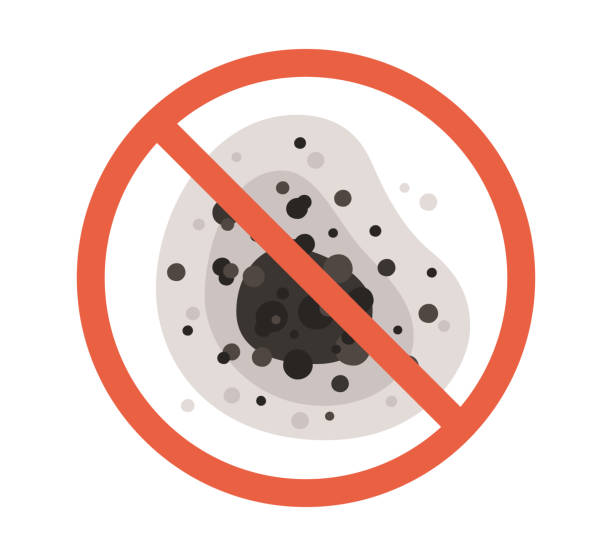 Best Forensic Mold Investigation  in Greenville, KY