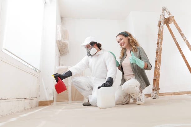 Best Black Mold Removal  in Greenville, KY