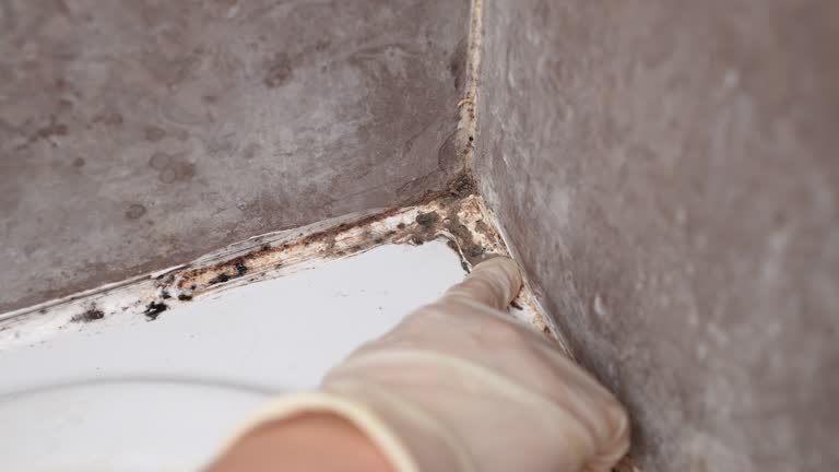 Best Indoor Air Quality Assessment  in Greenville, KY